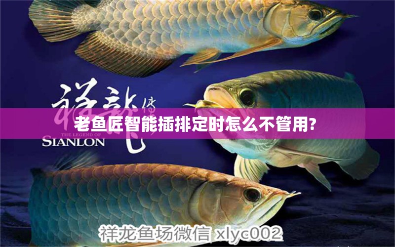 老魚匠智能插排定時怎么不管用? 