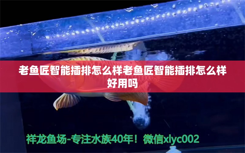 老魚匠智能插排怎么樣老魚匠智能插排怎么樣好用嗎 老魚匠