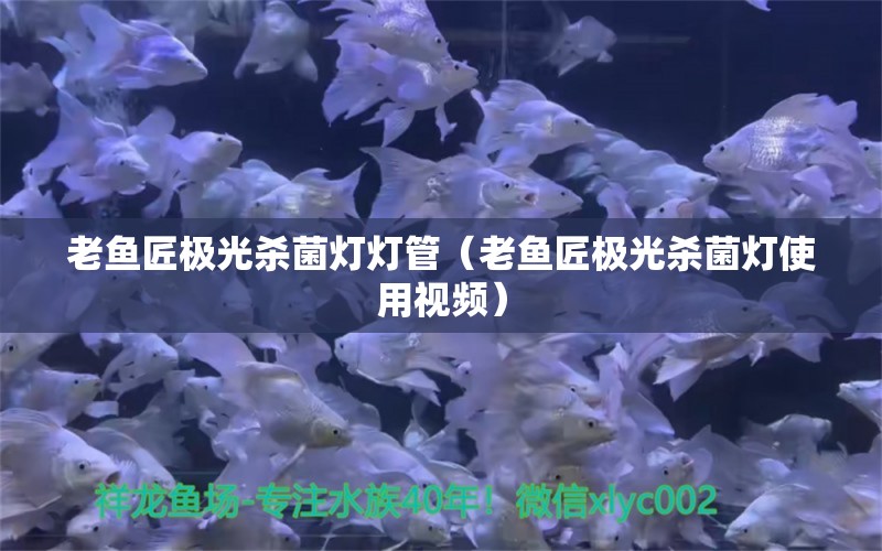 老魚匠極光殺菌燈燈管（老魚匠極光殺菌燈使用視頻）