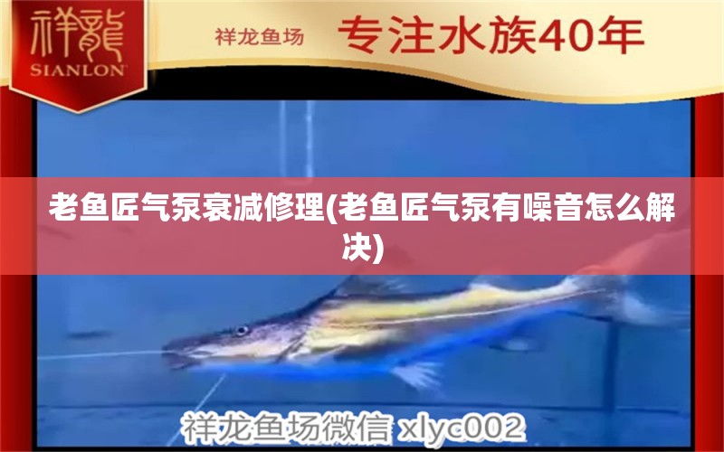 老魚匠氣泵衰減修理(老魚匠氣泵有噪音怎么解決) 老魚匠 第1張