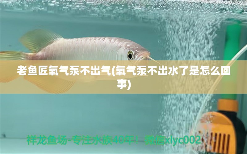 老魚匠氧氣泵不出氣(氧氣泵不出水了是怎么回事) 老魚匠