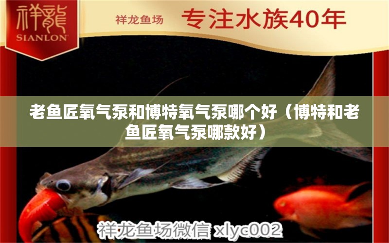 老魚(yú)匠氧氣泵和博特氧氣泵哪個(gè)好（博特和老魚(yú)匠氧氣泵哪款好） 博特水族