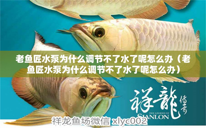 老魚匠水泵為什么調(diào)節(jié)不了水了呢怎么辦（老魚匠水泵為什么調(diào)節(jié)不了水了呢怎么辦）