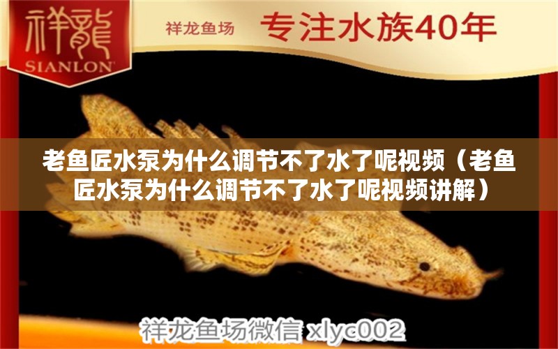 老魚(yú)匠水泵為什么調(diào)節(jié)不了水了呢視頻（老魚(yú)匠水泵為什么調(diào)節(jié)不了水了呢視頻講解）