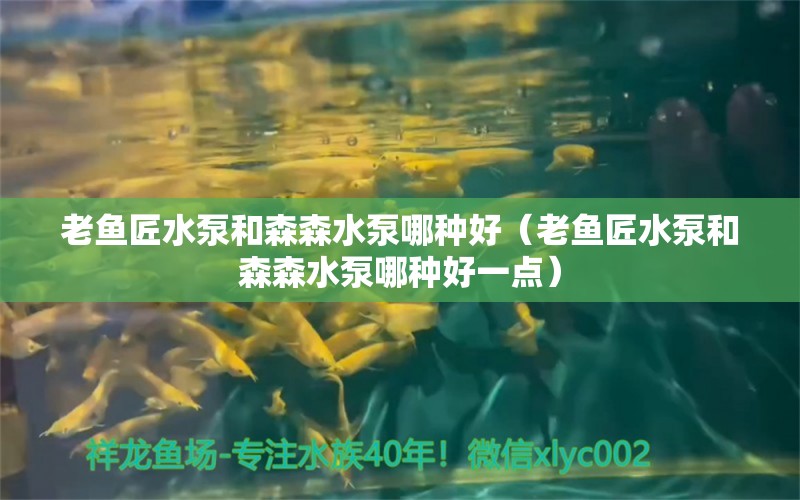 老魚匠水泵和森森水泵哪種好（老魚匠水泵和森森水泵哪種好一點）