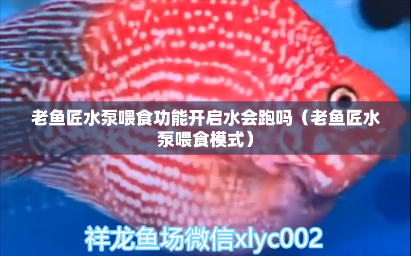 老魚(yú)匠水泵喂食功能開(kāi)啟水會(huì)跑嗎（老魚(yú)匠水泵喂食模式） 老魚(yú)匠