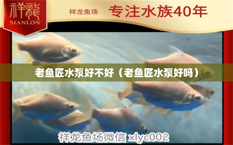 老魚匠水泵好不好（老魚匠水泵好嗎）