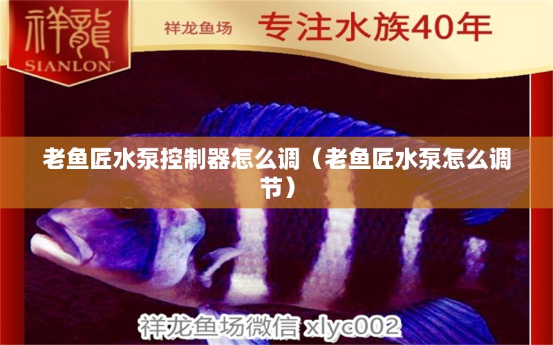 老魚(yú)匠水泵控制器怎么調(diào)（老魚(yú)匠水泵怎么調(diào)節(jié)） 老魚(yú)匠 第1張