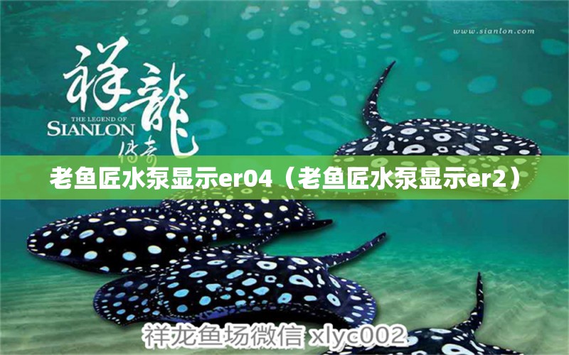 老魚匠水泵顯示er04（老魚匠水泵顯示er2）