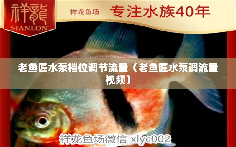 老魚匠水泵檔位調(diào)節(jié)流量（老魚匠水泵調(diào)流量視頻）