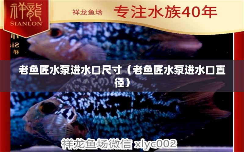 老魚匠水泵進(jìn)水口尺寸（老魚匠水泵進(jìn)水口直徑） 老魚匠