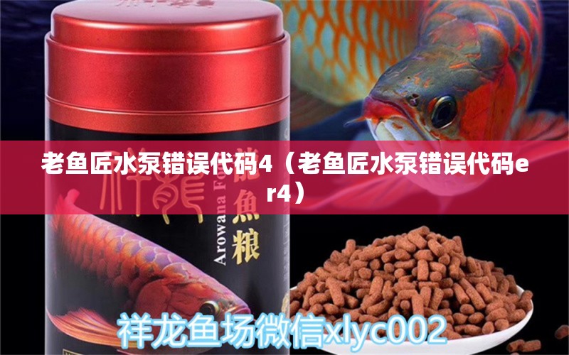 老魚(yú)匠水泵錯(cuò)誤代碼4（老魚(yú)匠水泵錯(cuò)誤代碼er4） 老魚(yú)匠