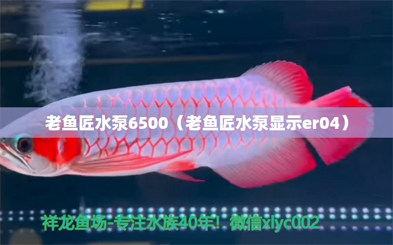 老魚匠水泵6500（老魚匠水泵顯示er04）