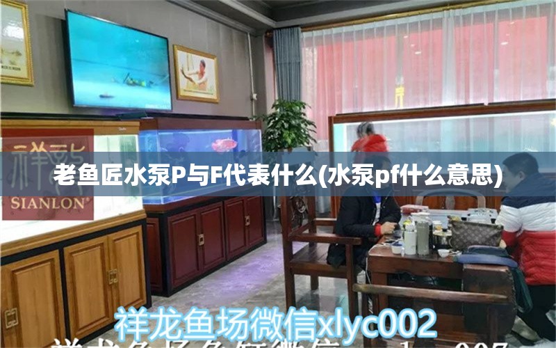 老魚匠水泵P與F代表什么(水泵pf什么意思) 老魚匠