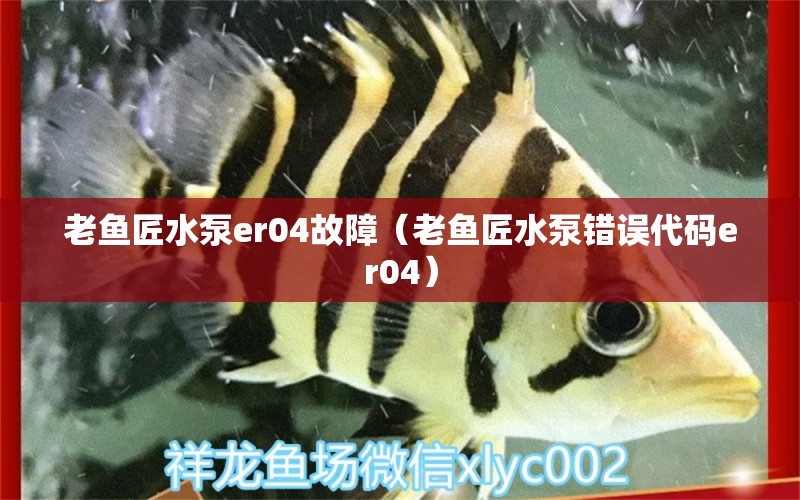 老魚匠水泵er04故障（老魚匠水泵錯(cuò)誤代碼er04）