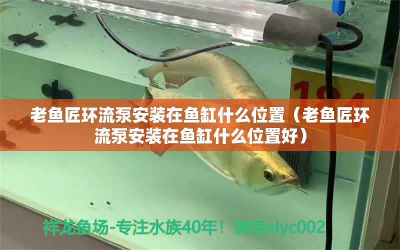 老魚匠環(huán)流泵安裝在魚缸什么位置（老魚匠環(huán)流泵安裝在魚缸什么位置好）