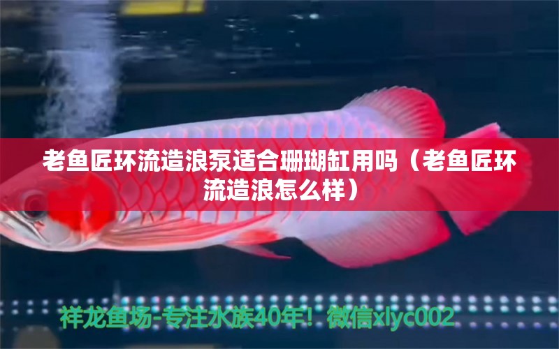 老魚匠環(huán)流造浪泵適合珊瑚缸用嗎（老魚匠環(huán)流造浪怎么樣）