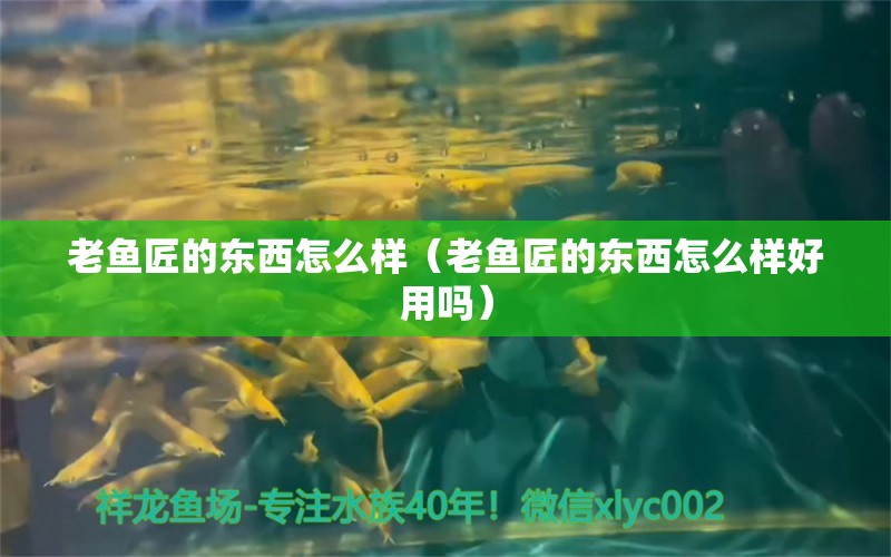 老魚匠的東西怎么樣（老魚匠的東西怎么樣好用嗎）