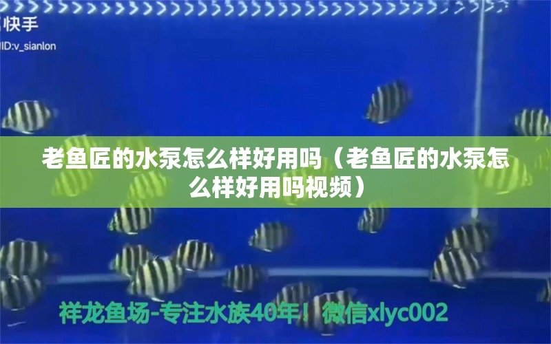 老魚匠的水泵怎么樣好用嗎（老魚匠的水泵怎么樣好用嗎視頻）