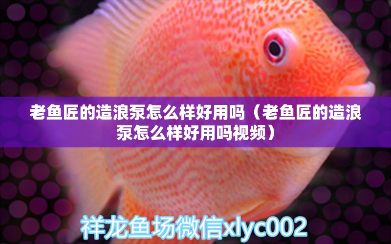 老魚匠的造浪泵怎么樣好用嗎（老魚匠的造浪泵怎么樣好用嗎視頻）