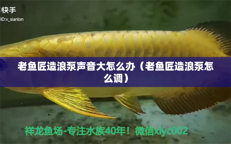 老魚匠造浪泵聲音大怎么辦（老魚匠造浪泵怎么調(diào)） 老魚匠