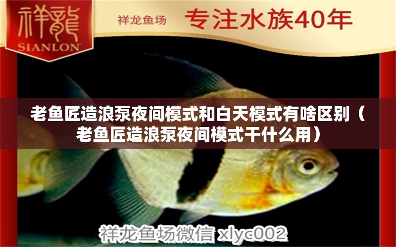 老魚匠造浪泵夜間模式和白天模式有啥區(qū)別（老魚匠造浪泵夜間模式干什么用）