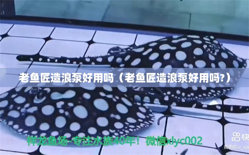 老魚匠造浪泵好用嗎（老魚匠造浪泵好用嗎?）