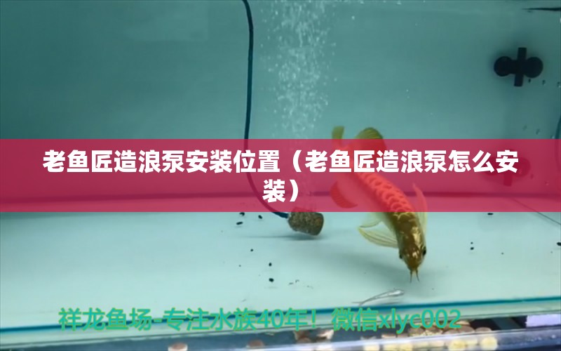 老魚匠造浪泵安裝位置（老魚匠造浪泵怎么安裝）