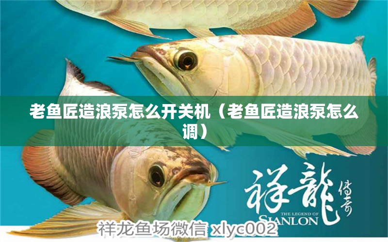 老魚匠造浪泵怎么開關(guān)機(jī)（老魚匠造浪泵怎么調(diào)） 老魚匠