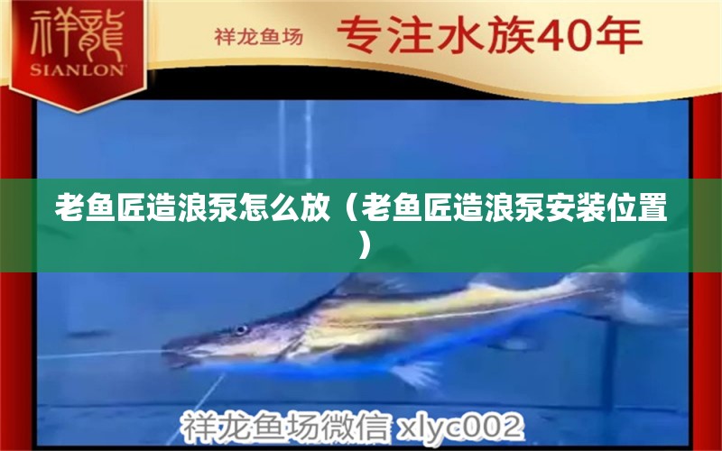 老魚匠造浪泵怎么放（老魚匠造浪泵安裝位置）