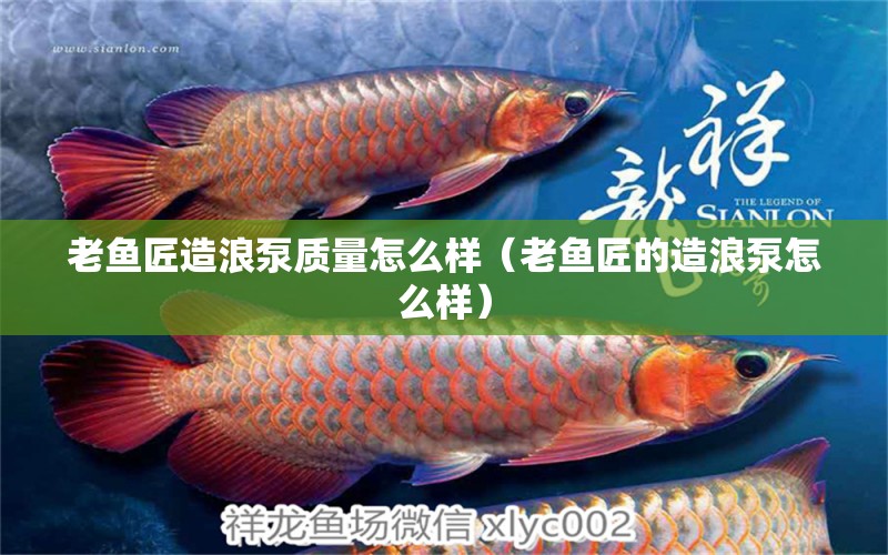 老魚匠造浪泵質(zhì)量怎么樣（老魚匠的造浪泵怎么樣）