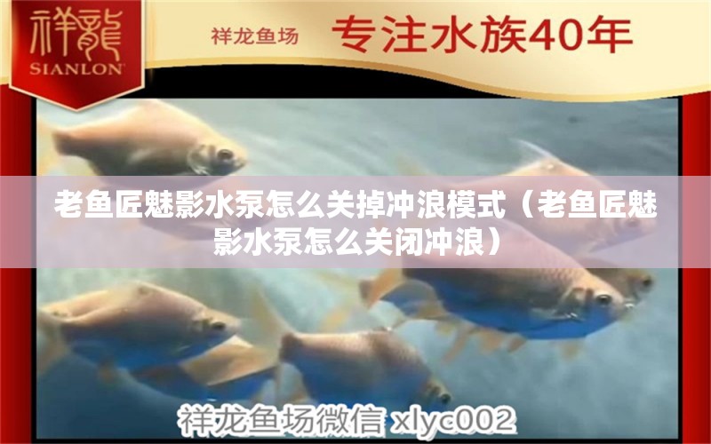 老魚匠魅影水泵怎么關(guān)掉沖浪模式（老魚匠魅影水泵怎么關(guān)閉沖浪）