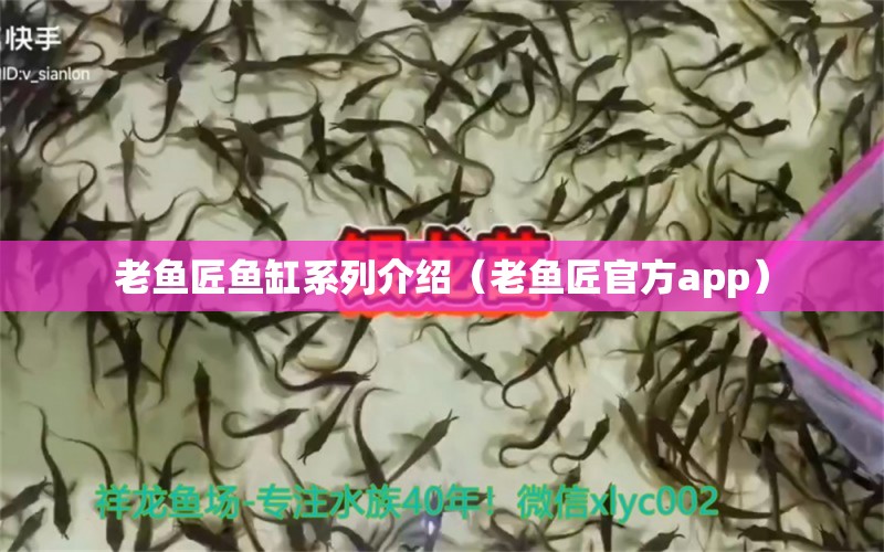 老魚匠魚缸系列介紹（老魚匠官方app） 老魚匠