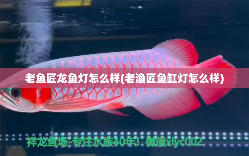 老魚匠龍魚燈怎么樣(老漁匠魚缸燈怎么樣)