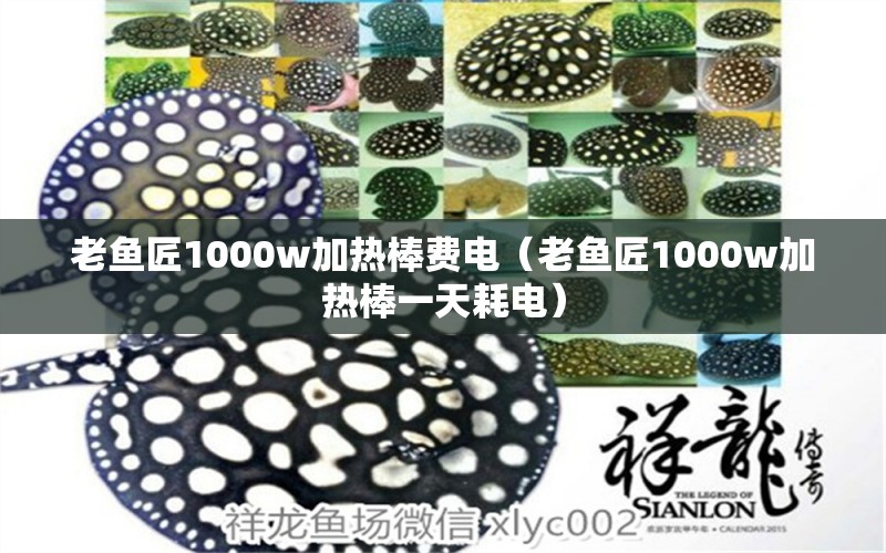 老魚匠1000w加熱棒費(fèi)電（老魚匠1000w加熱棒一天耗電） 老魚匠