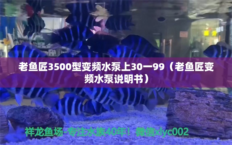 老魚匠3500型變頻水泵上30一99（老魚匠變頻水泵說(shuō)明書） 老魚匠