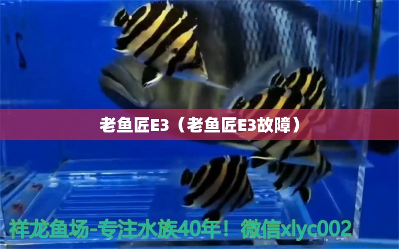 老魚匠E3（老魚匠E3故障） 老魚匠