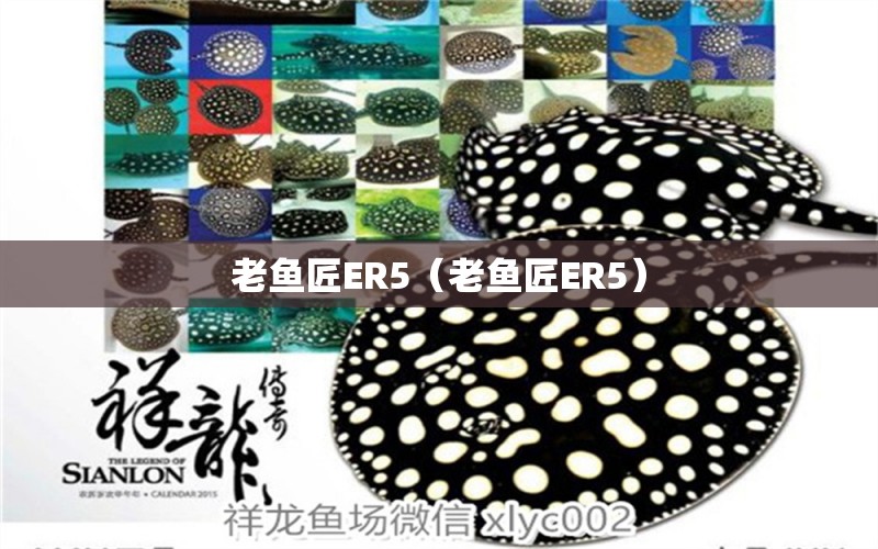 老魚匠ER5（老魚匠ER5） 老魚匠