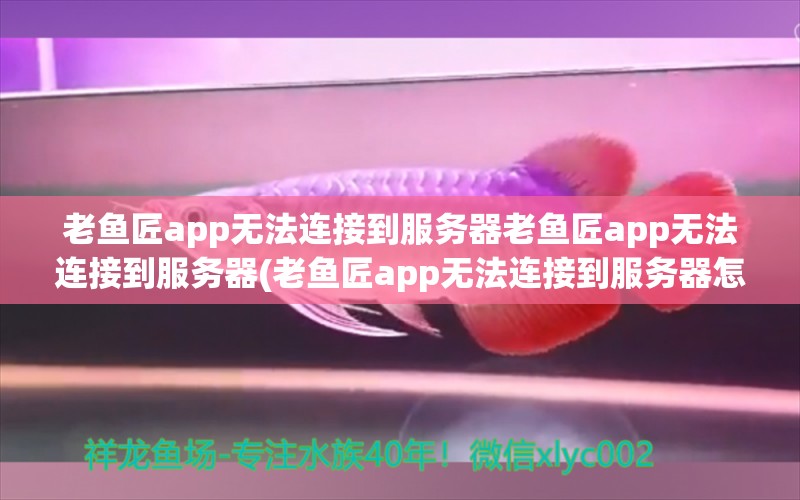 老魚匠app無法連接到服務(wù)器老魚匠app無法連接到服務(wù)器(老魚匠app無法連接到服務(wù)器怎么辦)