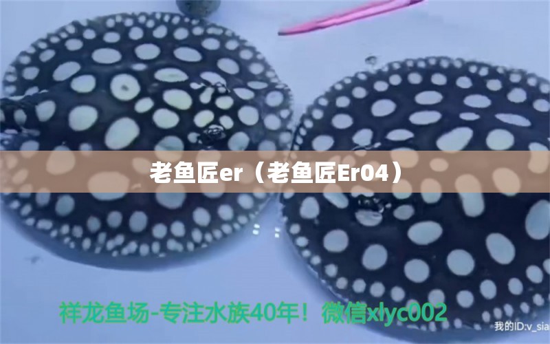 老魚匠er（老魚匠Er04）