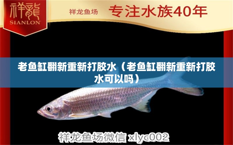 老魚缸翻新重新打膠水（老魚缸翻新重新打膠水可以嗎）