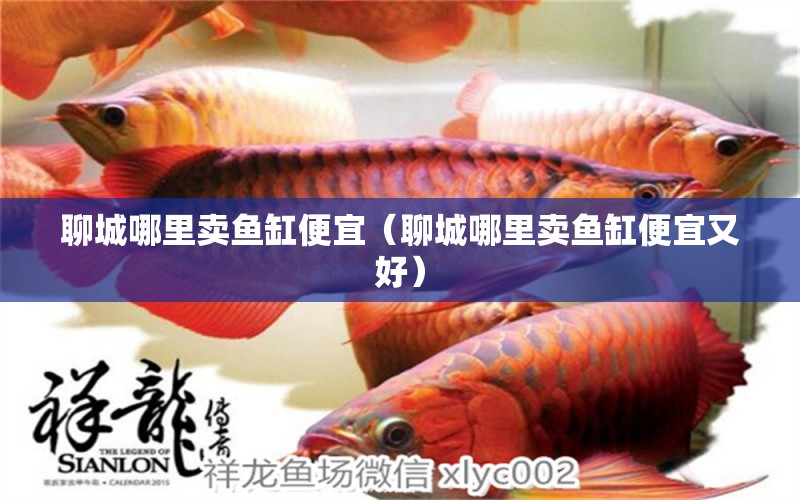 聊城哪里賣魚缸便宜（聊城哪里賣魚缸便宜又好）