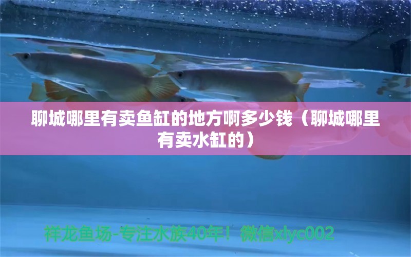 聊城哪里有賣魚缸的地方啊多少錢（聊城哪里有賣水缸的） 狗狗（犬）