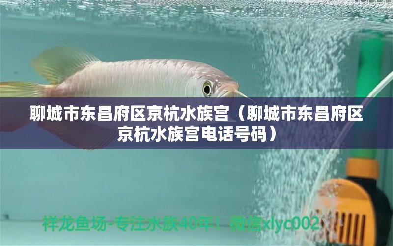 聊城市東昌府區(qū)京杭水族宮（聊城市東昌府區(qū)京杭水族宮電話號碼）