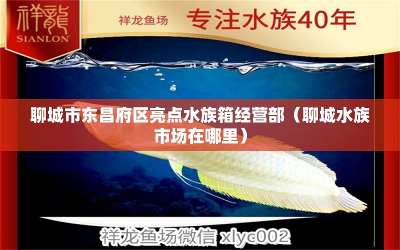 聊城市東昌府區(qū)亮點水族箱經(jīng)營部（聊城水族市場在哪里）