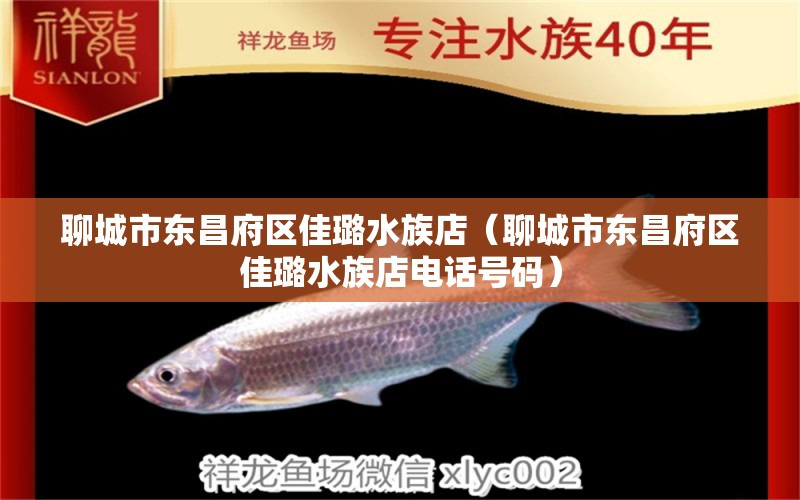 聊城市東昌府區(qū)佳璐水族店（聊城市東昌府區(qū)佳璐水族店電話號碼） 全國水族館企業(yè)名錄