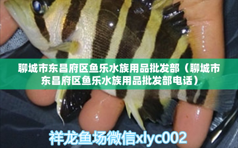 聊城市東昌府區(qū)魚樂水族用品批發(fā)部（聊城市東昌府區(qū)魚樂水族用品批發(fā)部電話）