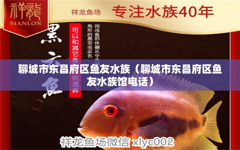 聊城市東昌府區(qū)魚友水族（聊城市東昌府區(qū)魚友水族館電話）