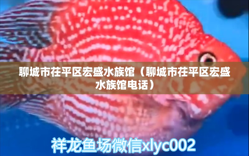 聊城市茌平區(qū)宏盛水族館（聊城市茌平區(qū)宏盛水族館電話）