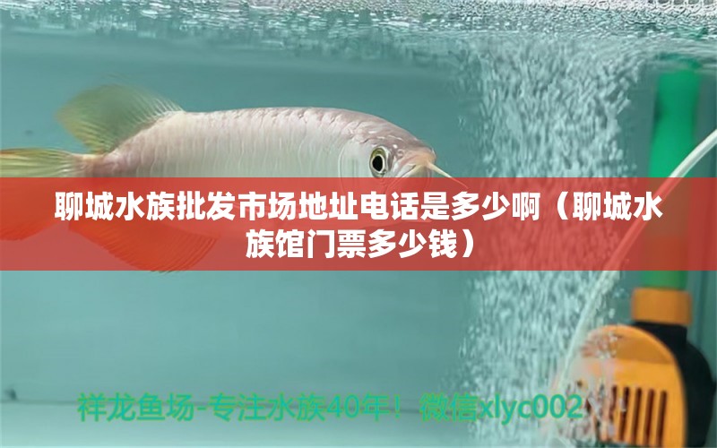 聊城水族批發(fā)市場地址電話是多少?。某撬屦^門票多少錢）